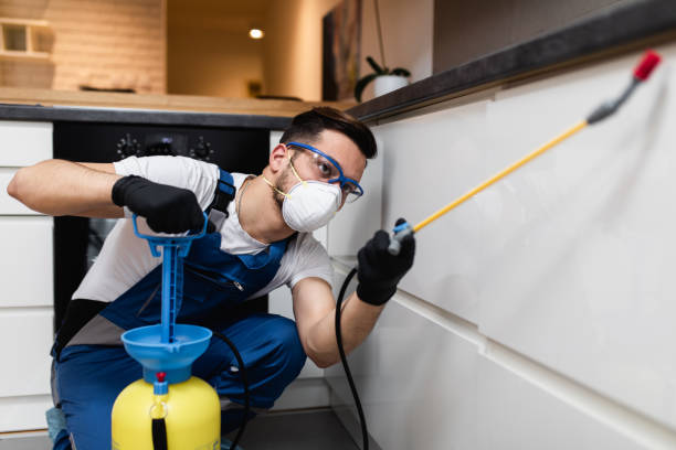 Trusted Rush Springs, OK Pest Control Experts