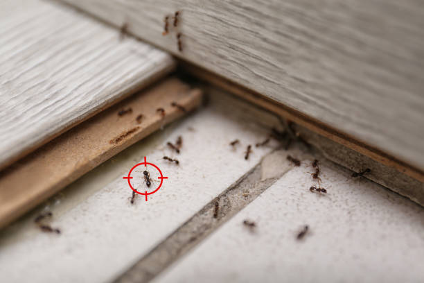 Pest Control Cost in Rush Springs, OK