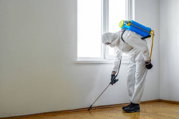 Best Best Pest Control Companies  in Rush Springs, OK
